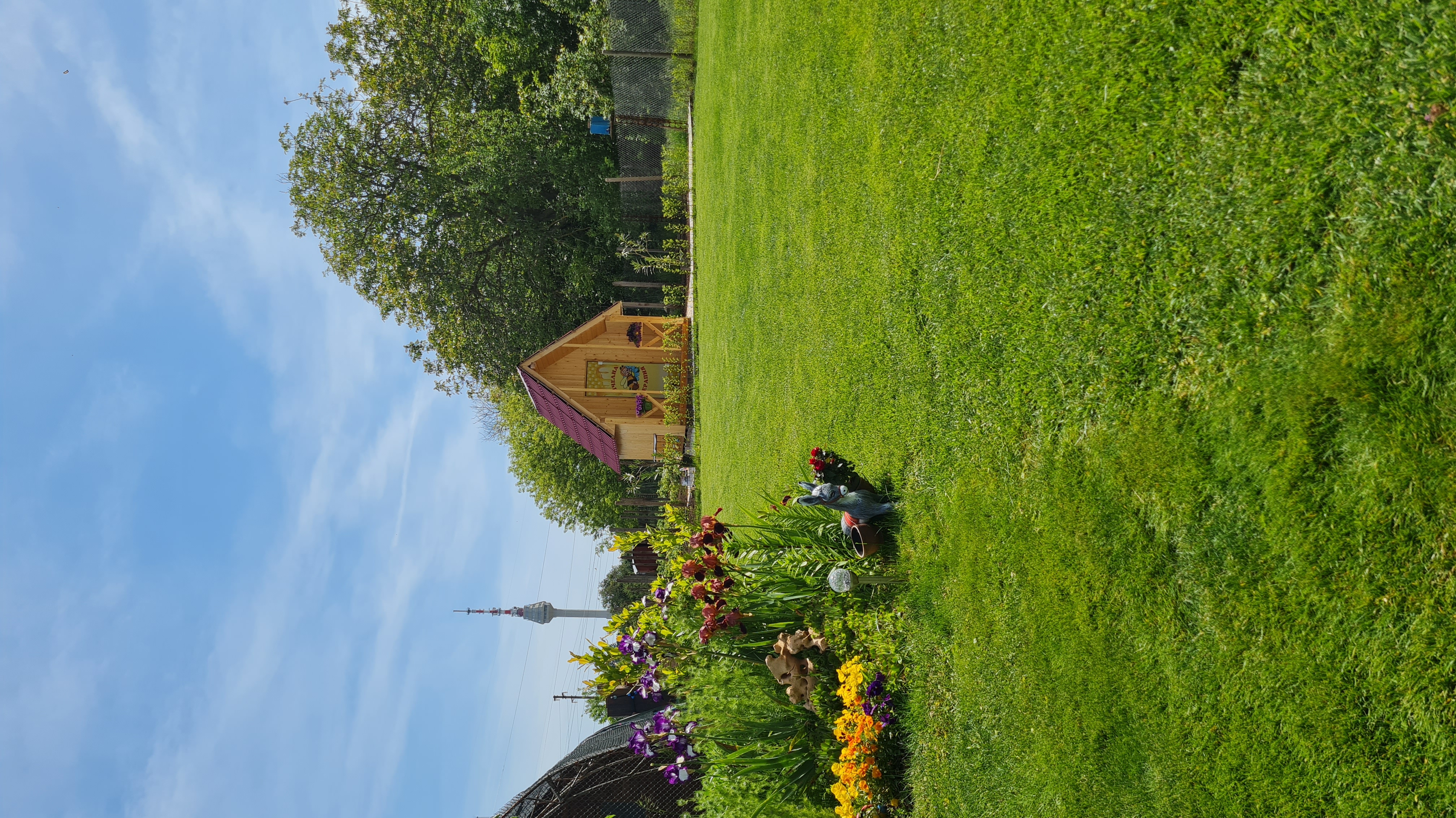 Добруджански Апи Релакс- ДАР