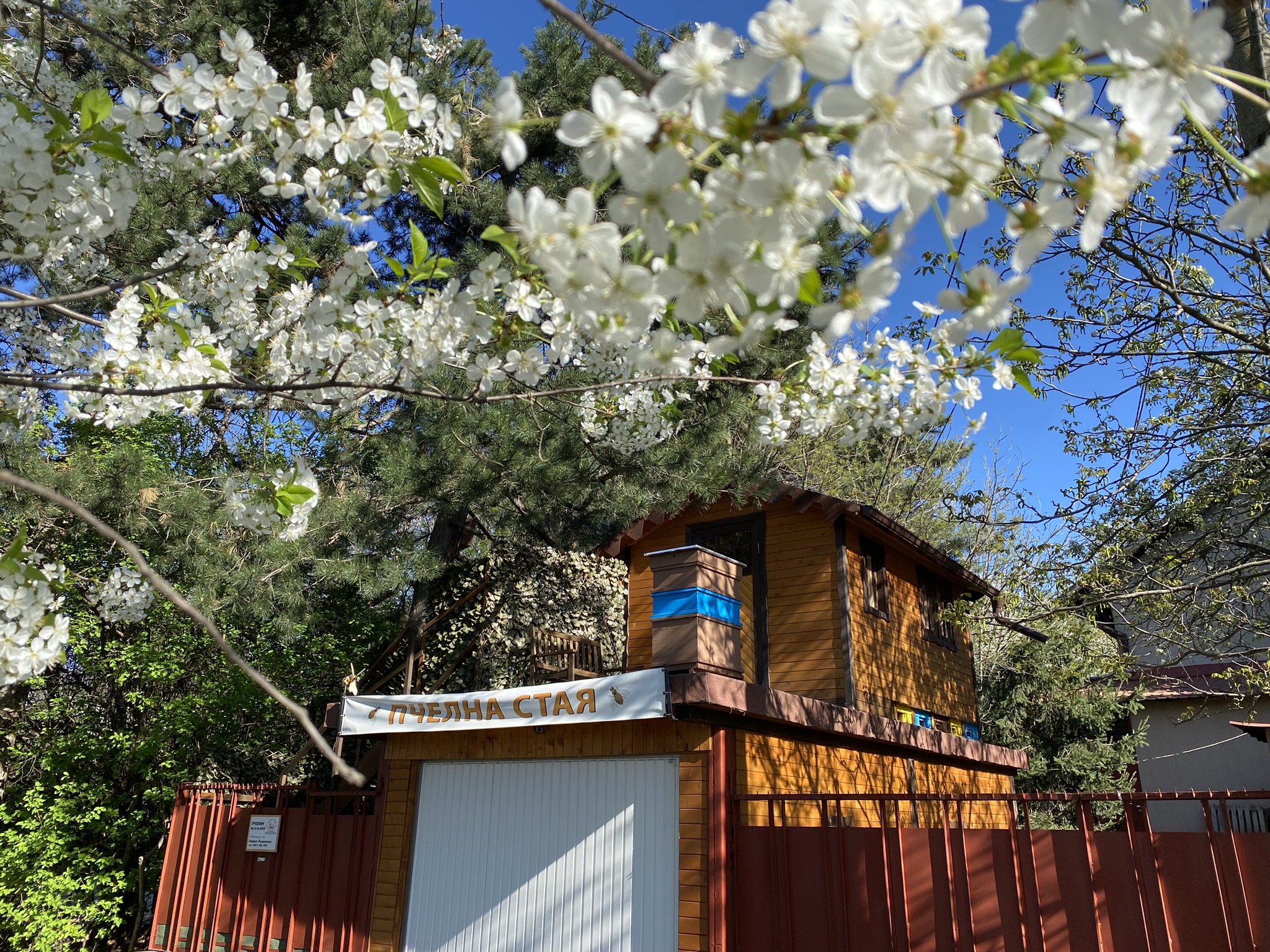 Пролет в пчелна къща Bee bed