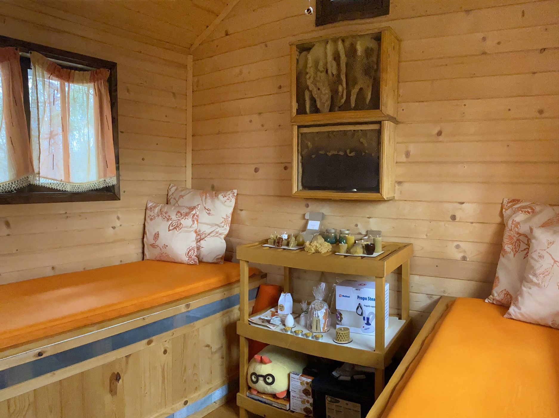 Пчелна стая