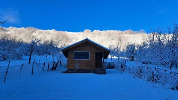 Bee Far. Green Balkans